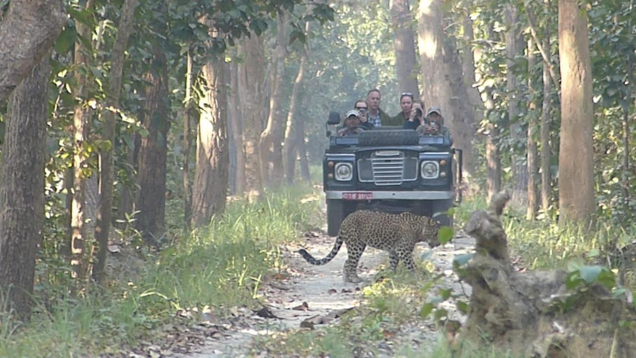 Tiger Tops Karnali Lodge Bardiya Exterior foto
