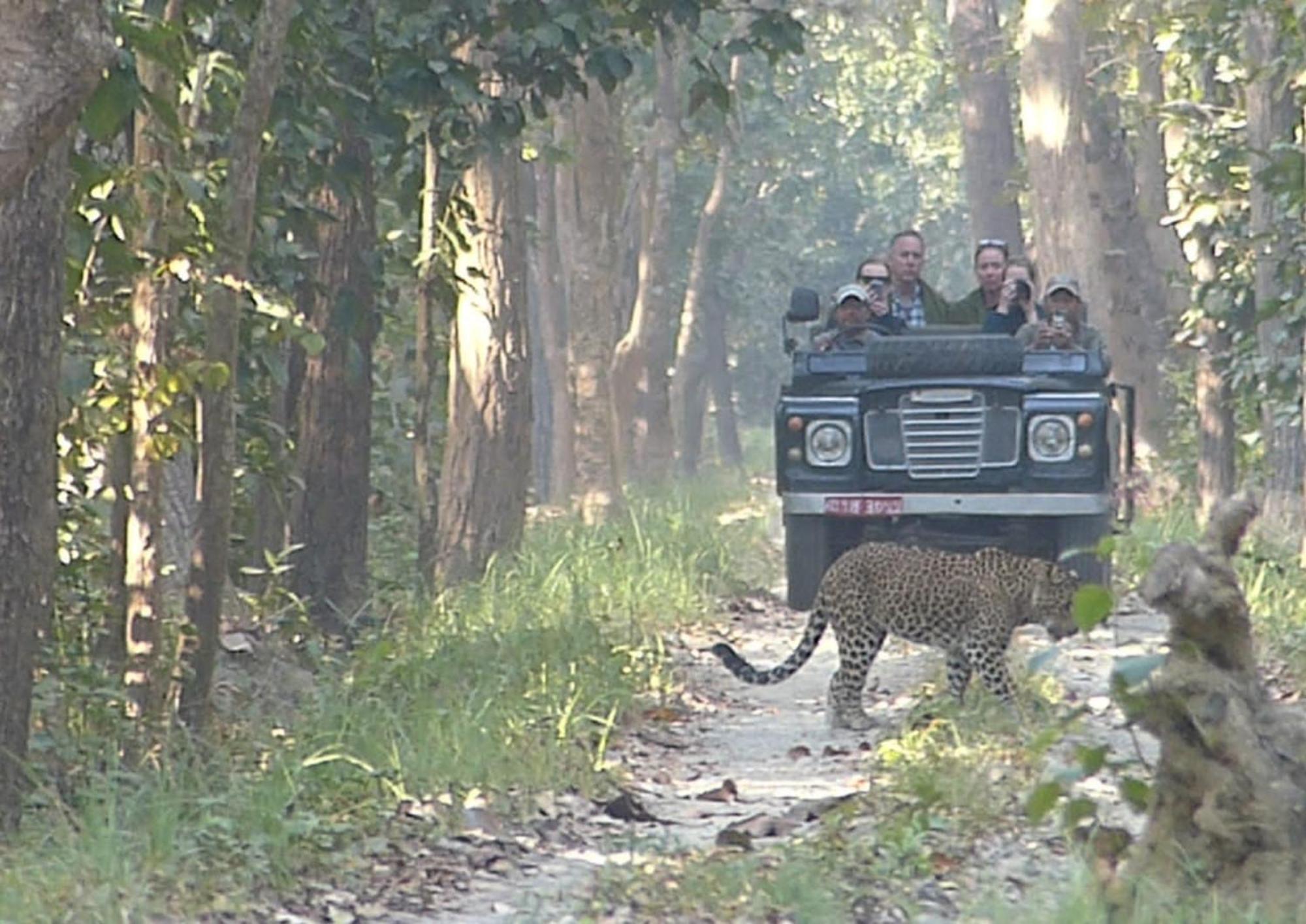 Tiger Tops Karnali Lodge Bardiya Exterior foto